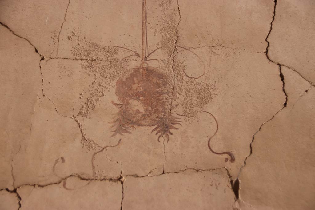 VI.13 Herculaneum. October 2020. Detail of painted decoration on east wall of corridor. Photo courtesy of Klaus Heese.